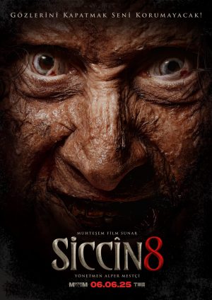 siccin8